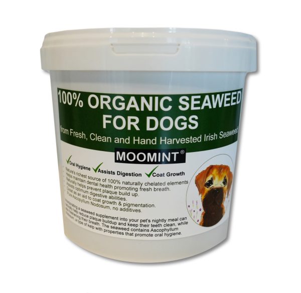 Seaweed for Dogs by MOOMINT