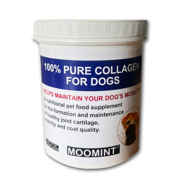 Horse collagen - Pure Collagen for Dogs