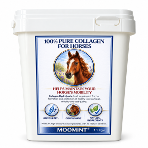 Horse collagen - Pure Collagen for Horses