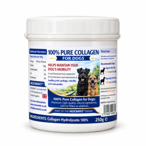 pure collagen for dogs by moomint