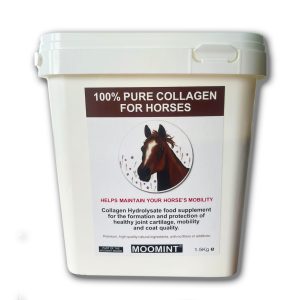 Horse collagen - Pure Collagen for Horses