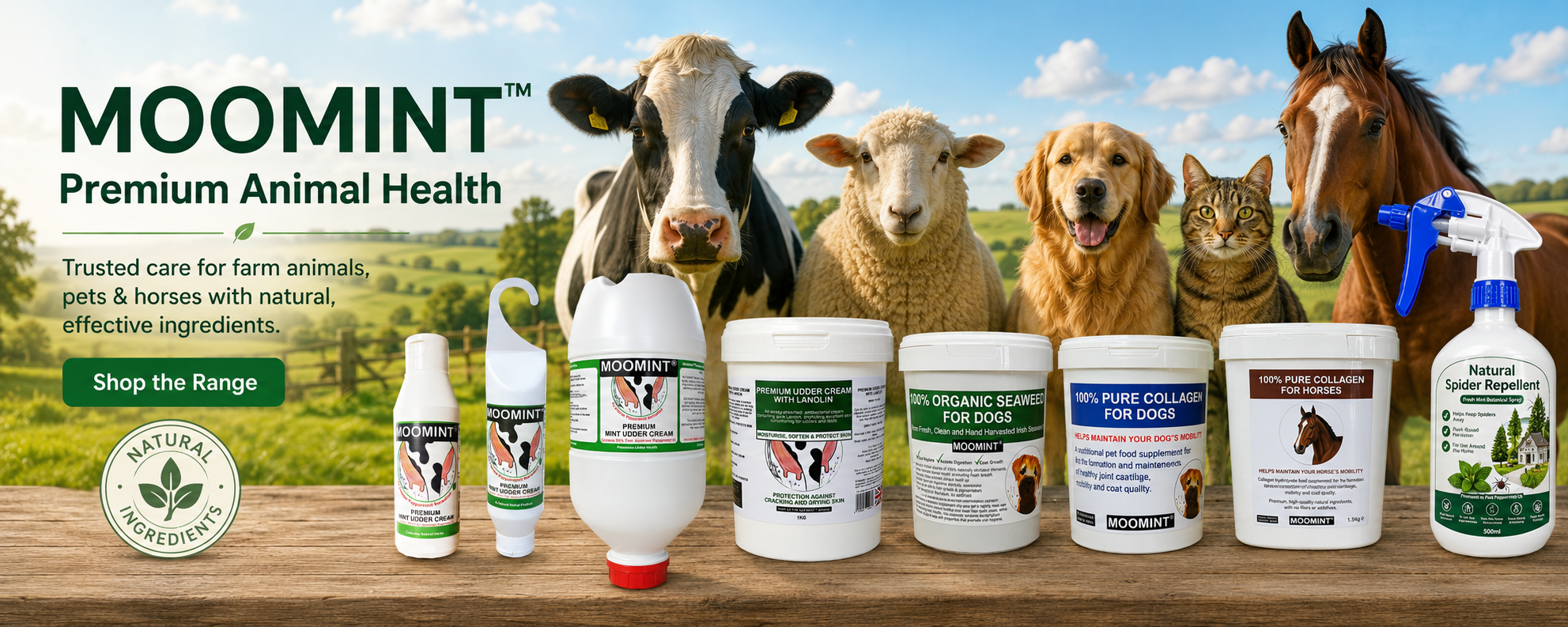 moomint web banner